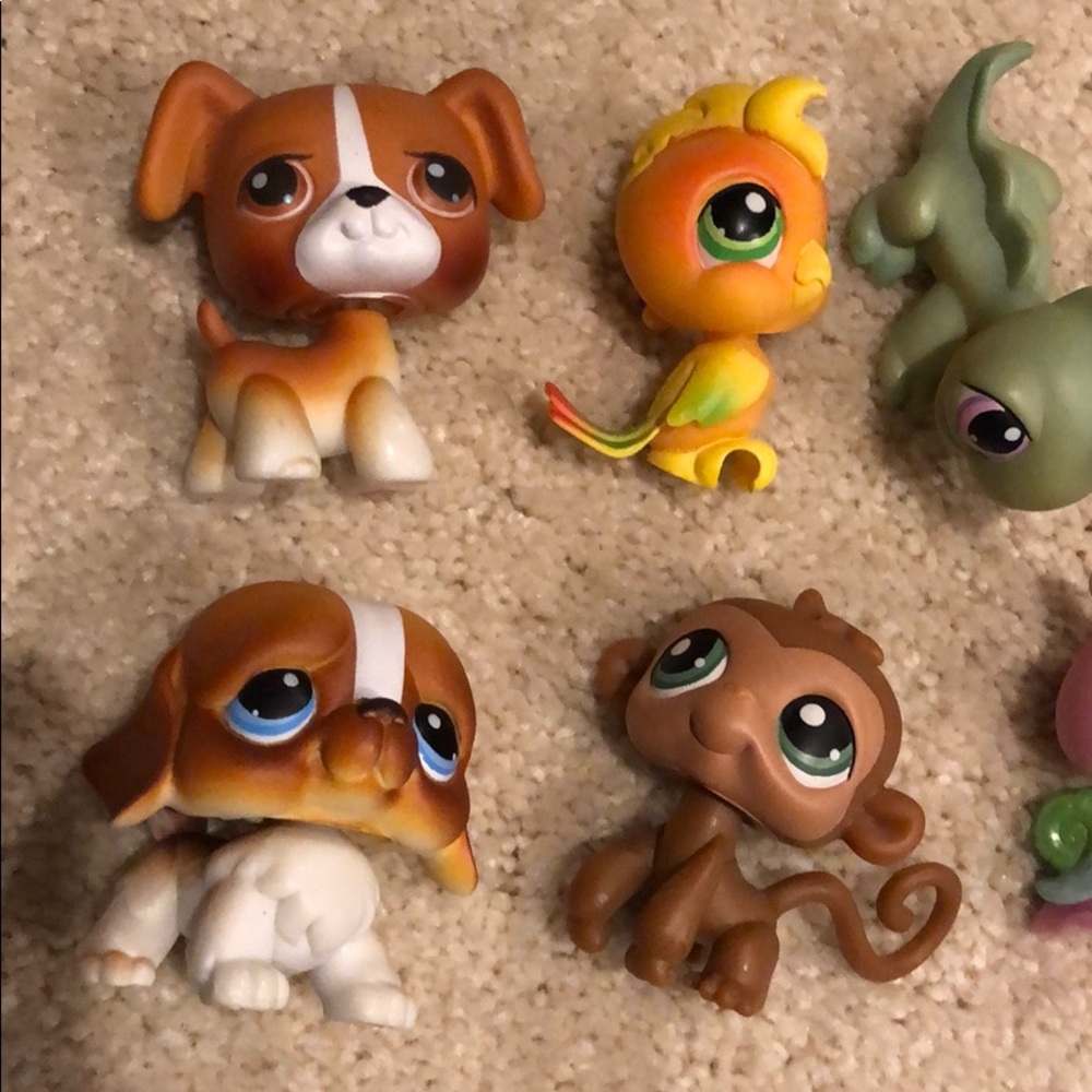 Littlest Pet Shop: RARE set - Picture 2 of 3